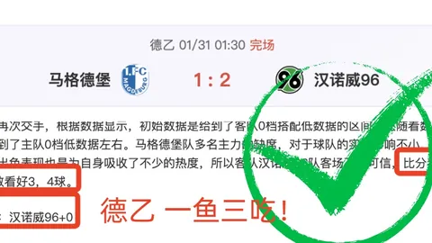 何瑋桁世盃夺铜目标冲击世界前十，张家朗金发备战巴黎站挑战