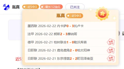 跌宕起伏：小猪的磁卡逆袭之路